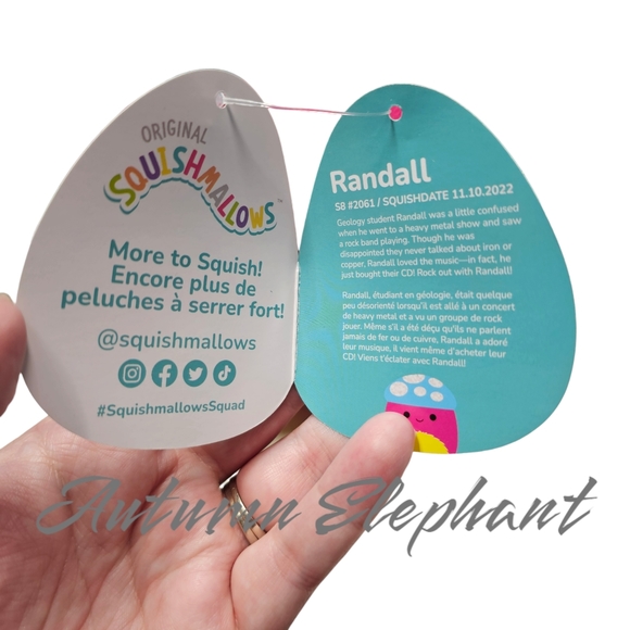 NWT Squishmallow Randall - Picture 6 of 11